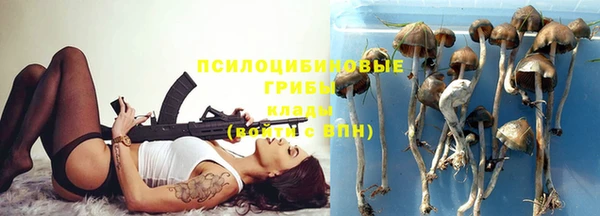 прущие крисы Алексин