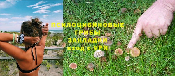 прущие крисы Алексин