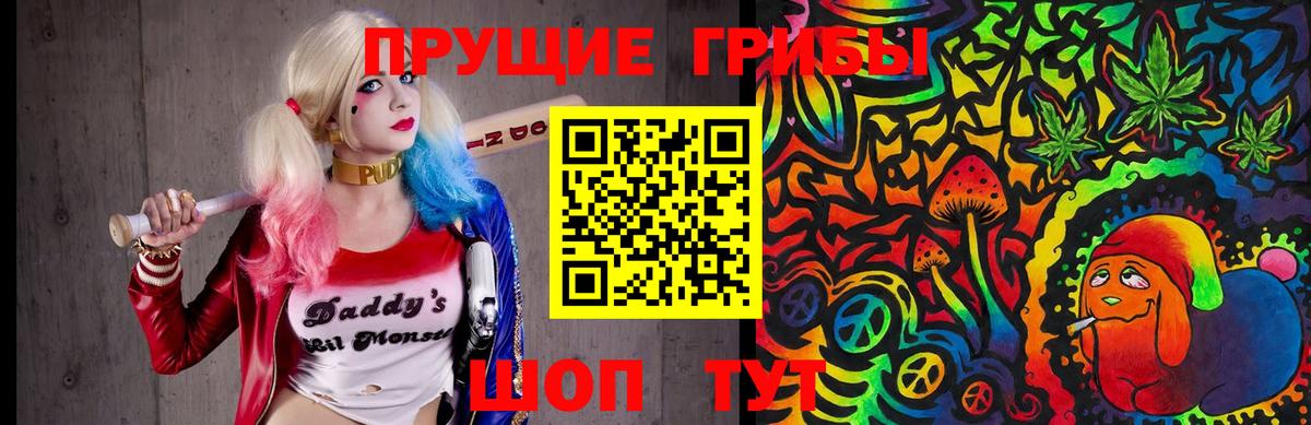 Галлюциногенные грибы MAGIC MUSHROOMS  Вход с VPN  Нефтекумск 