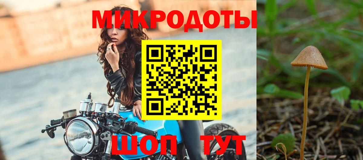 Псилоцибиновые грибы MAGIC MUSHROOMS Нефтекумск